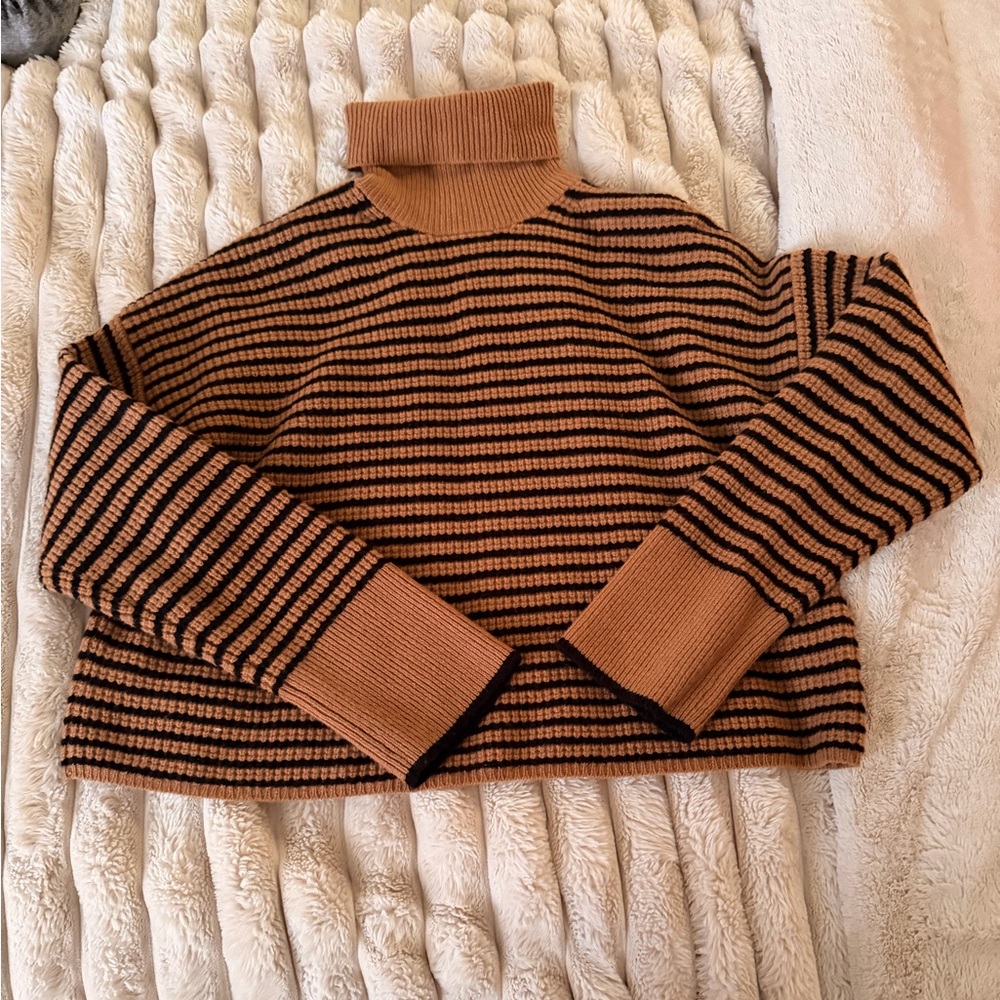 Madewell Brown and Black Striped Turtleneck Sweater